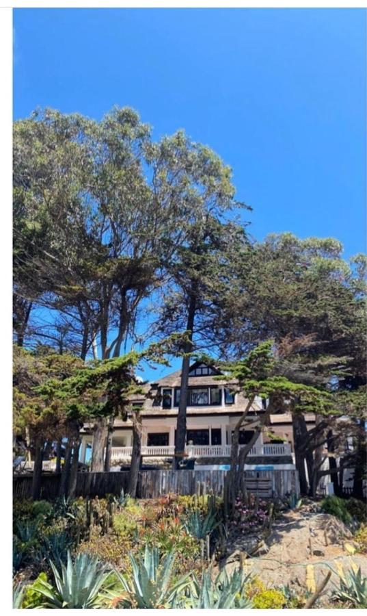 Casa Wilson Villa Zapallar Ngoại thất bức ảnh